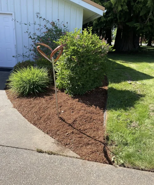 Foundation-Shrub-Pruning